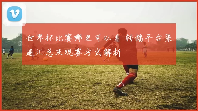 世界杯比赛哪里可以看 转播平台渠道汇总及观赛方式解析