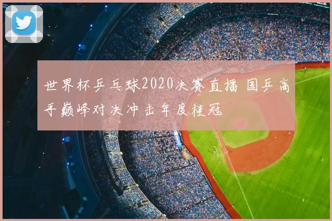 世界杯乒乓球2020决赛直播 国乒高手巅峰对决冲击年度桂冠